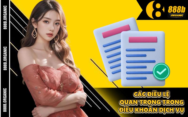 Các Điều Lệ Quan Trọng Trong Điều Khoản Dịch Vụ
