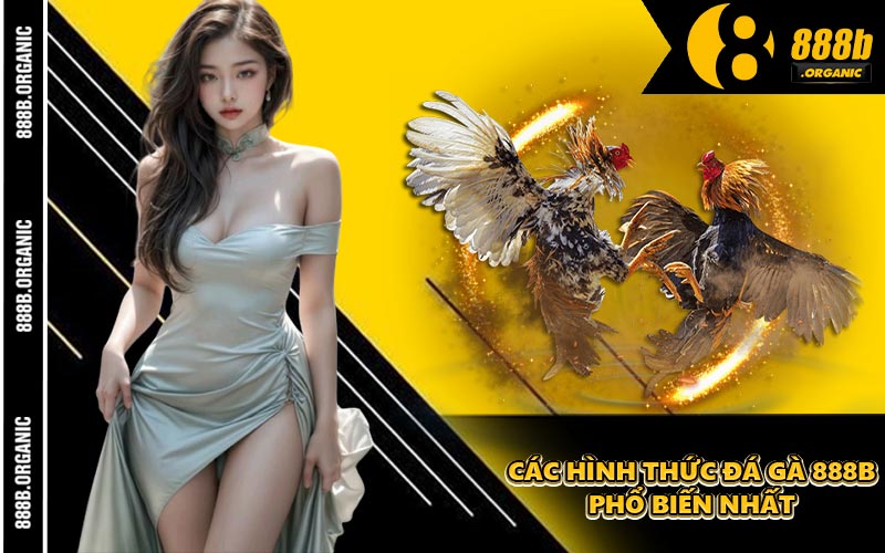 Các Hình Thức Đá Gà 888B Phổ Biến Nhất