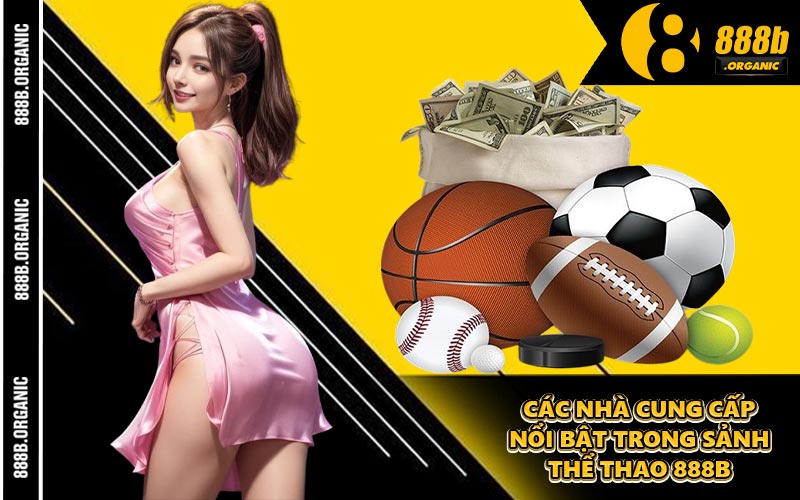 Các Nhà Cung Cấp Nổi Bật Trong Sảnh Thể Thao 888B