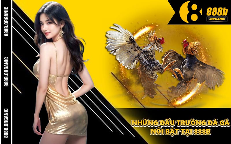 Những Đấu Trường Đá Gà Nổi Bật Tại 888B